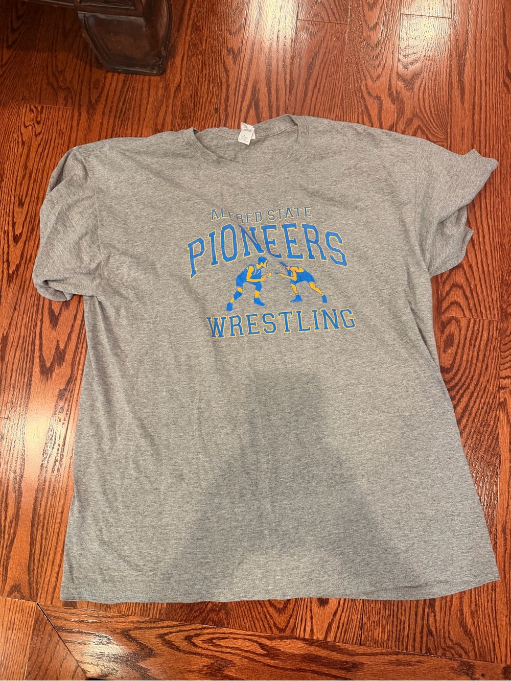 Alfred State College T-Shirt Bundle: 2 -Men’s Large | Wrestling & Mascot